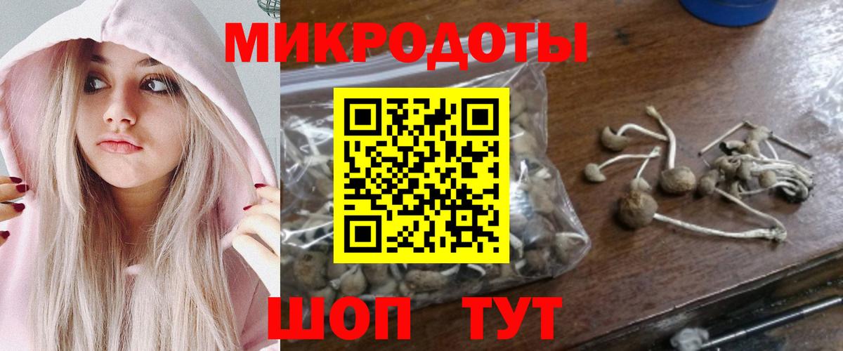 Дзержинск  Галлюциногенные грибы мицелий  Вход с VPN 